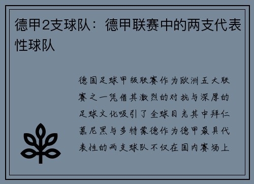 德甲2支球队：德甲联赛中的两支代表性球队