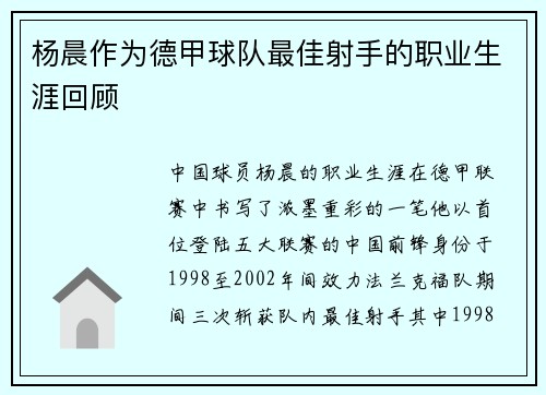 杨晨作为德甲球队最佳射手的职业生涯回顾
