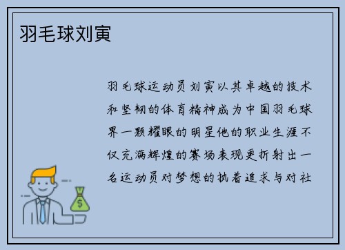 羽毛球刘寅